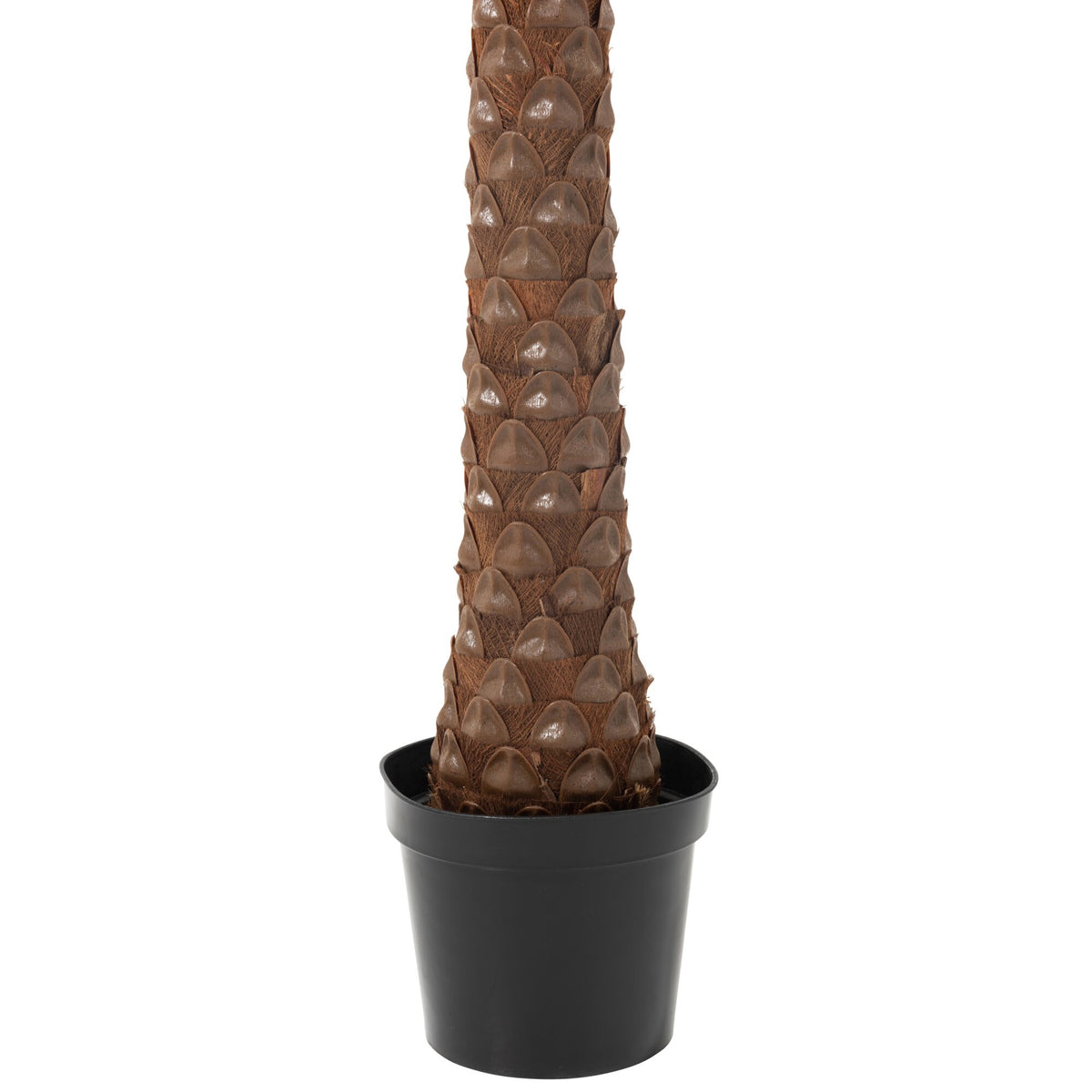 Palmboom Met 4 Kokosnoten In Pot Kunststof Groen H350cm J-Line