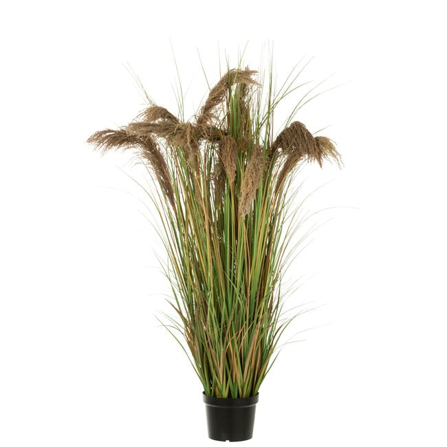 Pampas Gras 13 Koppen In Pot Pvc Groen/Beige Large L60xB60XH180cm - Kunstplant - J-Line - livinglovely.nl
