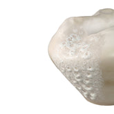 PTMD Vaas Dangelo XL - 44x43x32 cm - Keramiek - Creme PTMD - Vaas - PTMD - livinglovely.nl