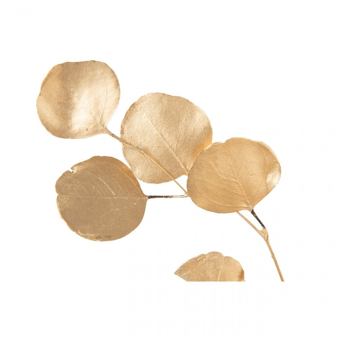 Eucalyptus Droogbloem Goudkleurig J-Line