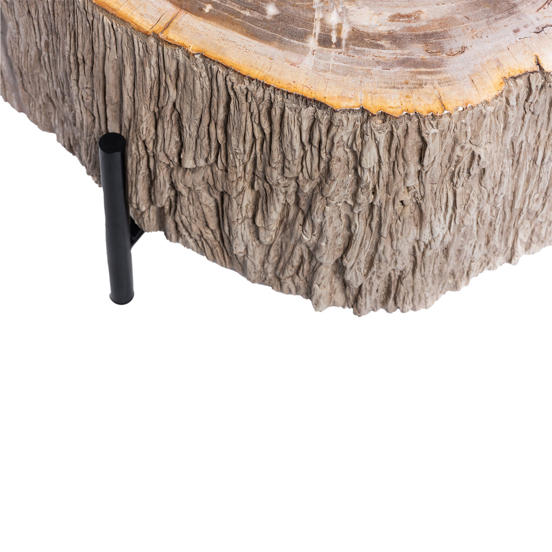Taly Koffietafel Versteend Hout Naturel Large PTMD
