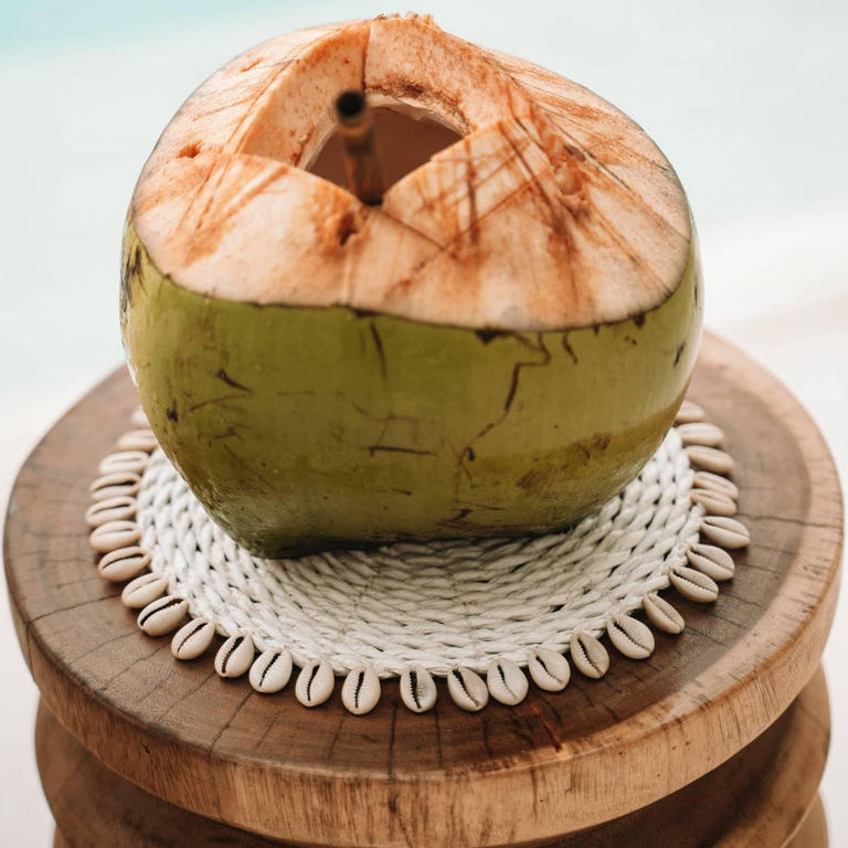 De Seagrass Shell Pannenonderzetter - Wit