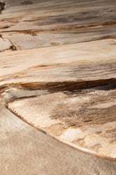 Salontafel Deeba petrified wood 130 PTMD - Salontafel - PTMD - livinglovely.nl