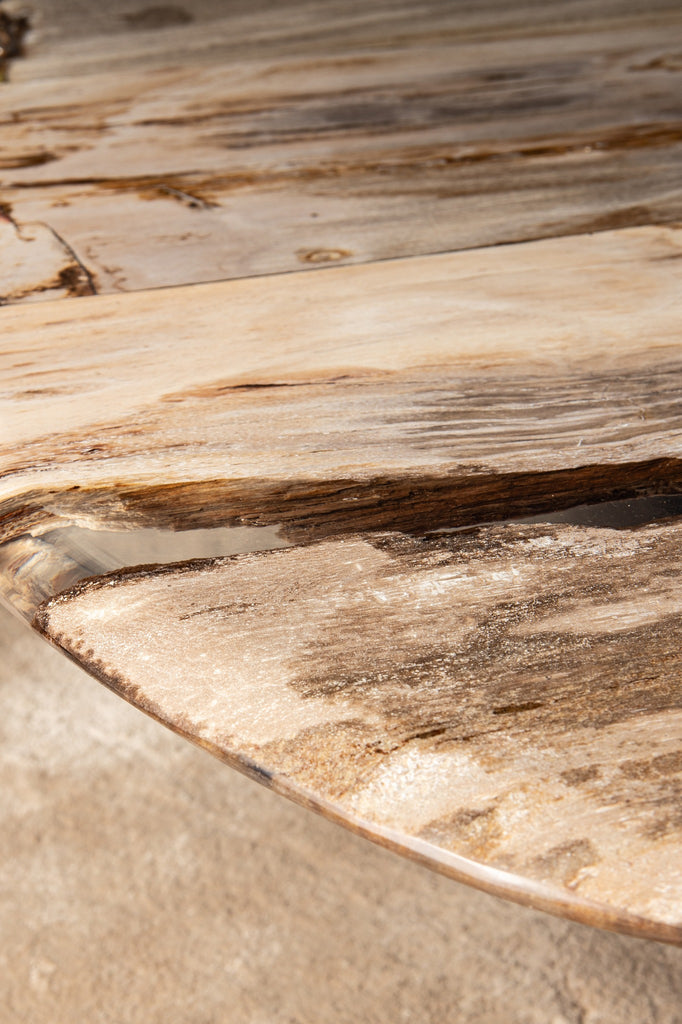 Salontafel Deeba petrified wood 130 PTMD - Salontafel - PTMD - livinglovely.nl