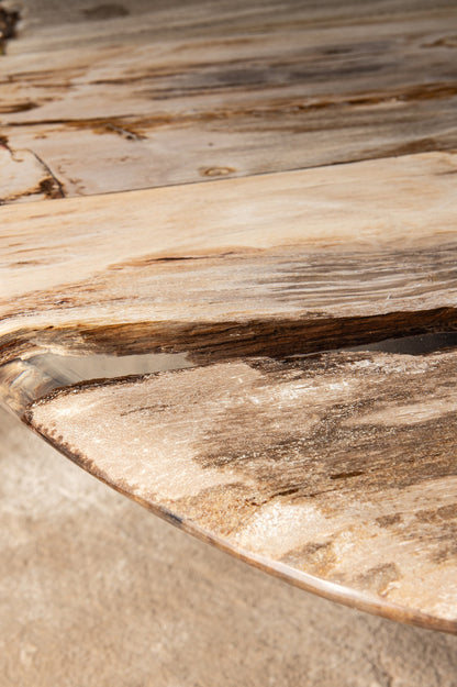 Salontafel Deeba petrified wood 130 PTMD - Salontafel - PTMD - livinglovely.nl