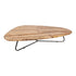 Salontafel Deeba petrified wood 130 PTMD - Salontafel - PTMD - livinglovely.nl