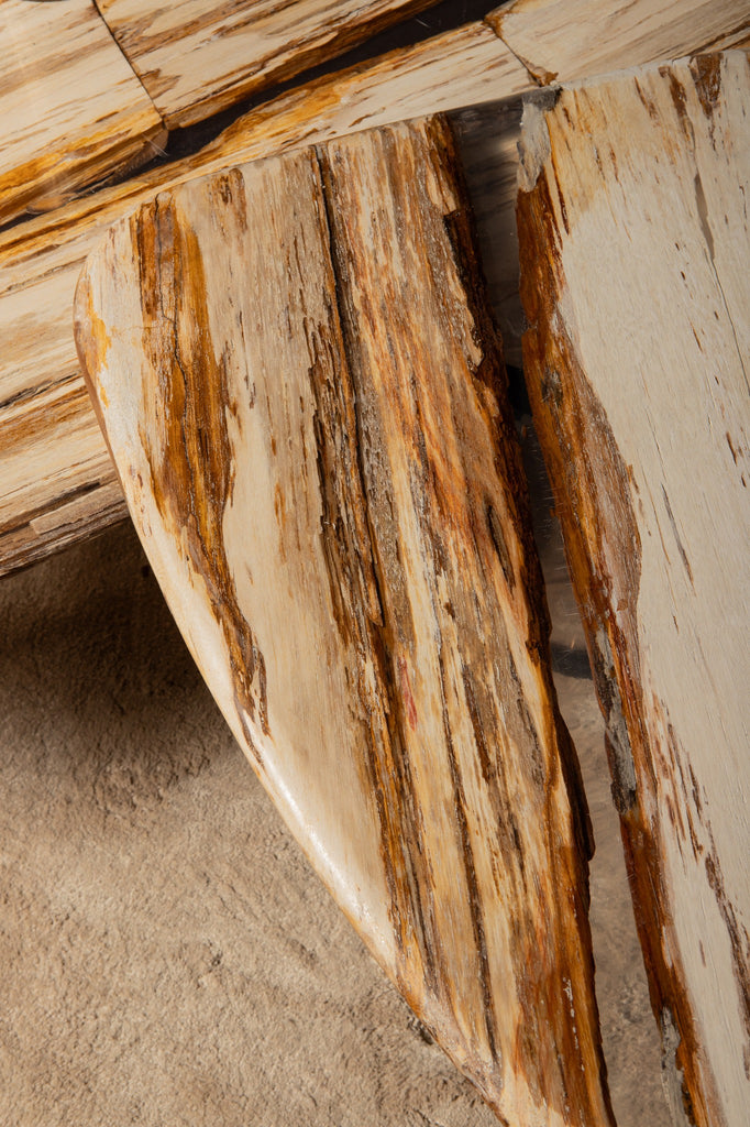 Salontafel Deeba Petrified wood 95 PTMD - - PTMD - livinglovely.nl