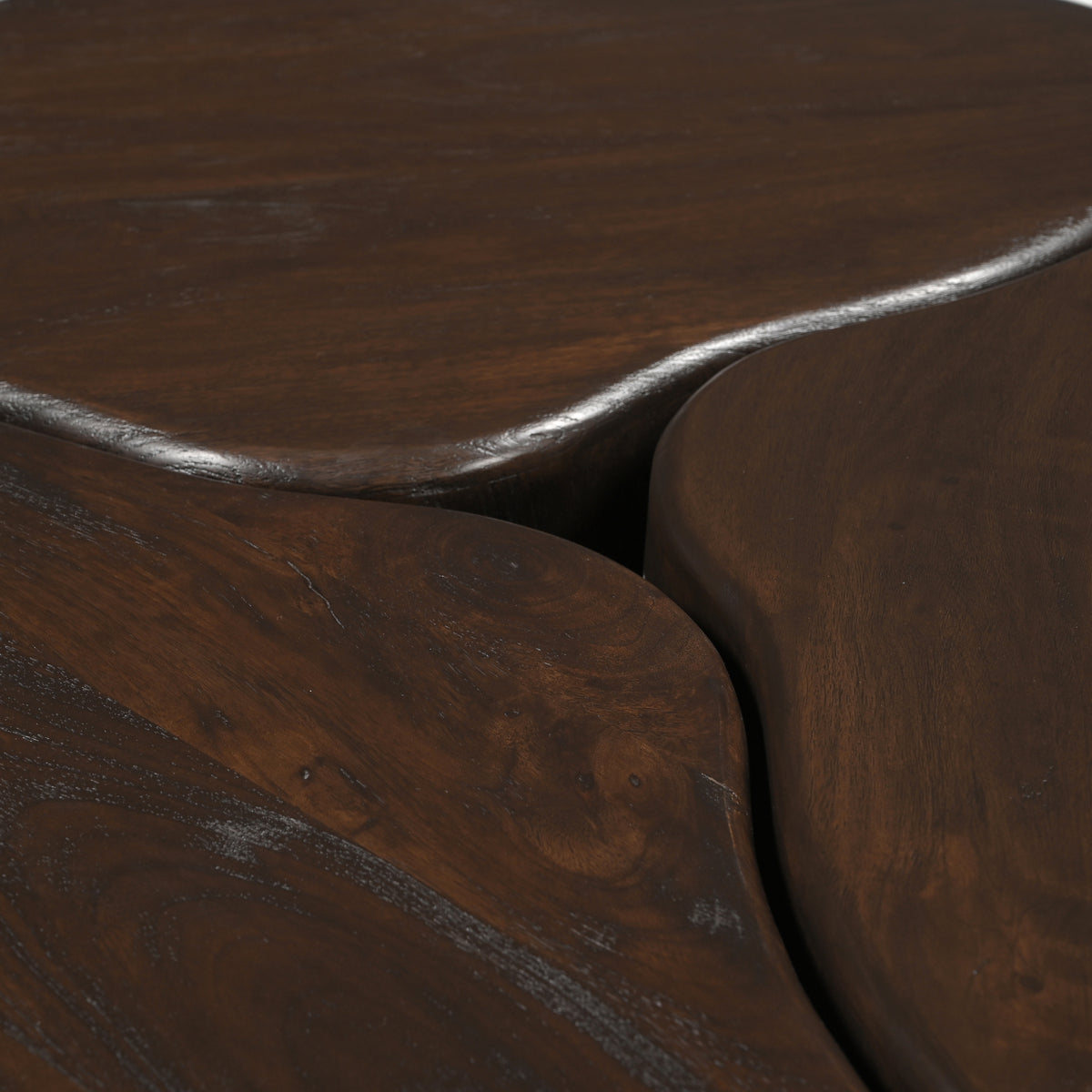 Detail van de houtnerf en afgeronde segmenten van Salontafel Elara