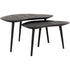 Salontafel Organus zwart teakhout set van 2 DTP Home