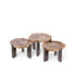 Salontafel Rudi Natural petrified wood nickel Set van 3 - Salontafel - PTMD - livinglovely.nl