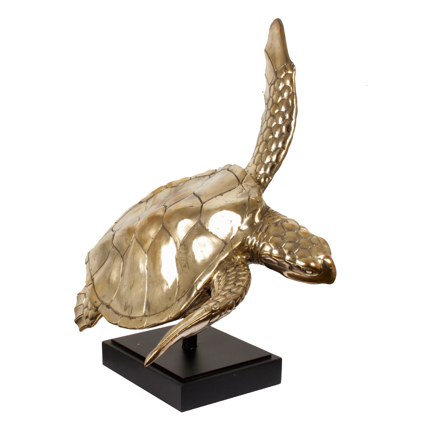 Sea Turtle Brass on Stand - Pole To Pole - Ornament - Pole To Pole - livinglovely.nl