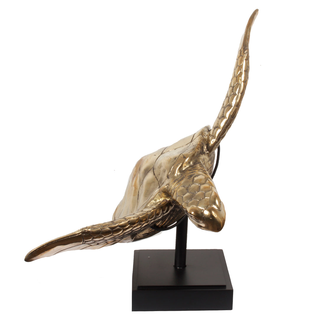 Sea Turtle Brass on Stand - Pole To Pole - Ornament - Pole To Pole - livinglovely.nl