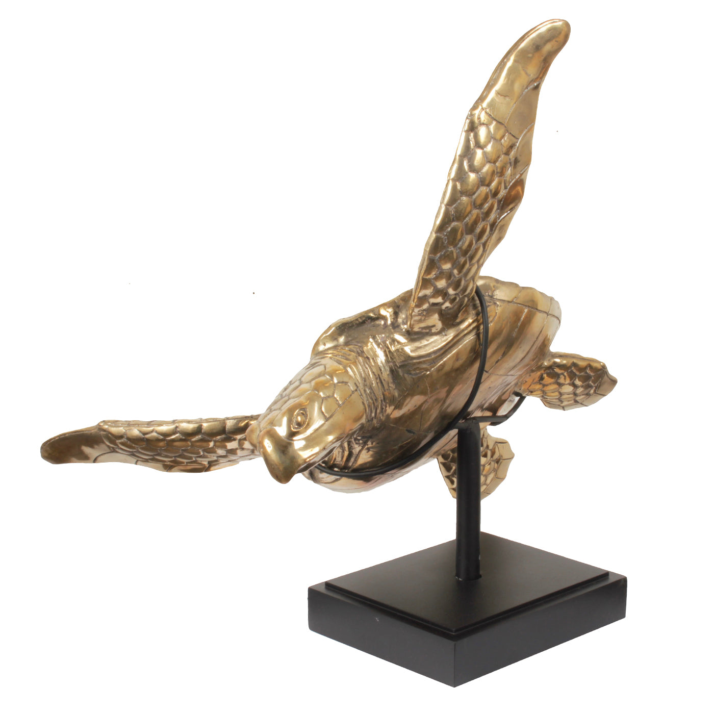 Sea Turtle Brass on Stand - Pole To Pole - Ornament - Pole To Pole - livinglovely.nl