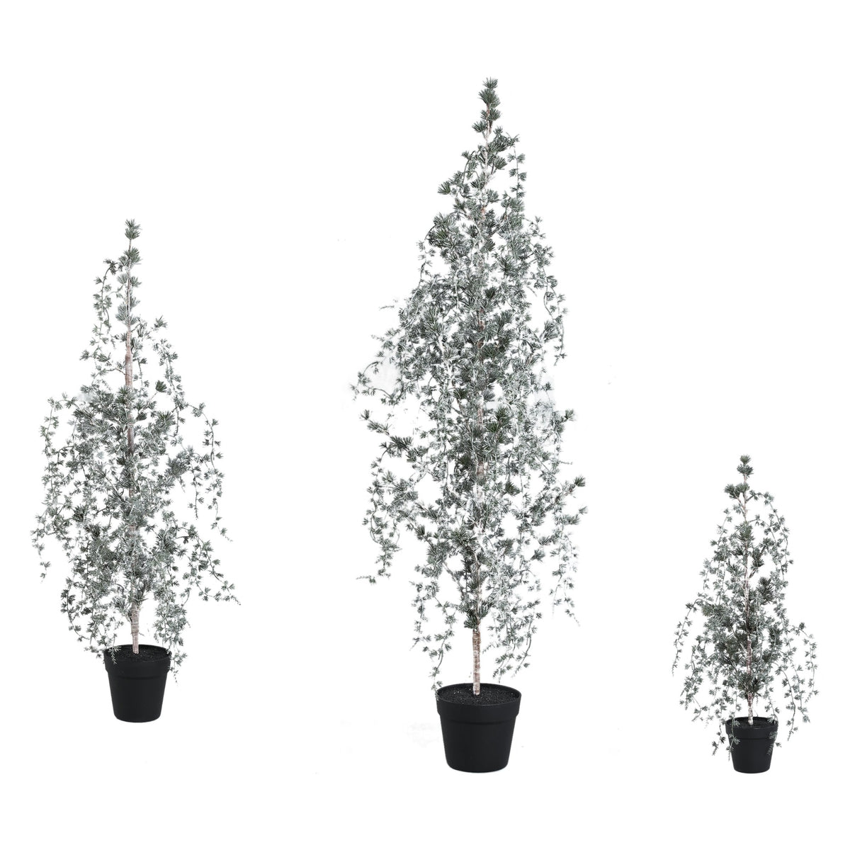 Set Van 3 Florine LED Kunstkerstbomen Mosgroen Met Sneeuw van PTMD, de complete set met alle drie de kunstkerstbomen naast elkaar op witte achtergrond
