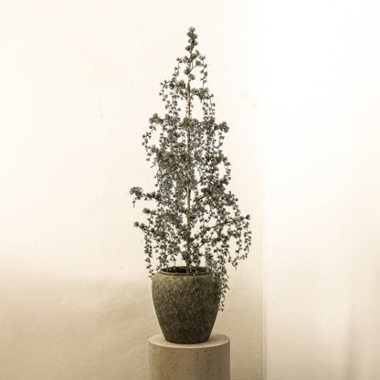 Set Van 3 Florine LED Kunstkerstbomen Mosgroen Met Sneeuw van PTMD, besneeuwde LED kerstboom in een pot in een lichte woonkamer
