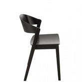 Stoel Laga Eikhout/Multiplex Zwart J-Line