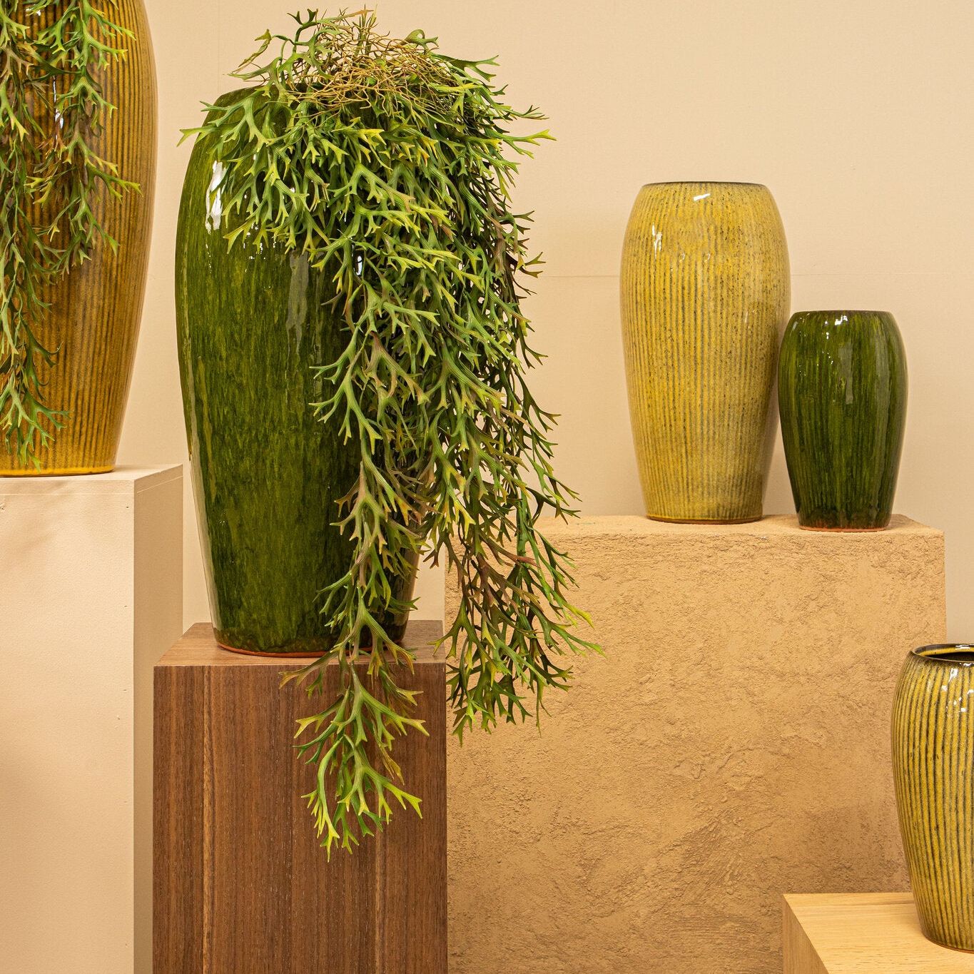 Tamica Dark Green Ceramic Pot M van PTMD, sfeerfoto met plant in de woonkamer