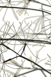 Tree 3000 Led Metal Black Large - - J-Line - livinglovely.nl