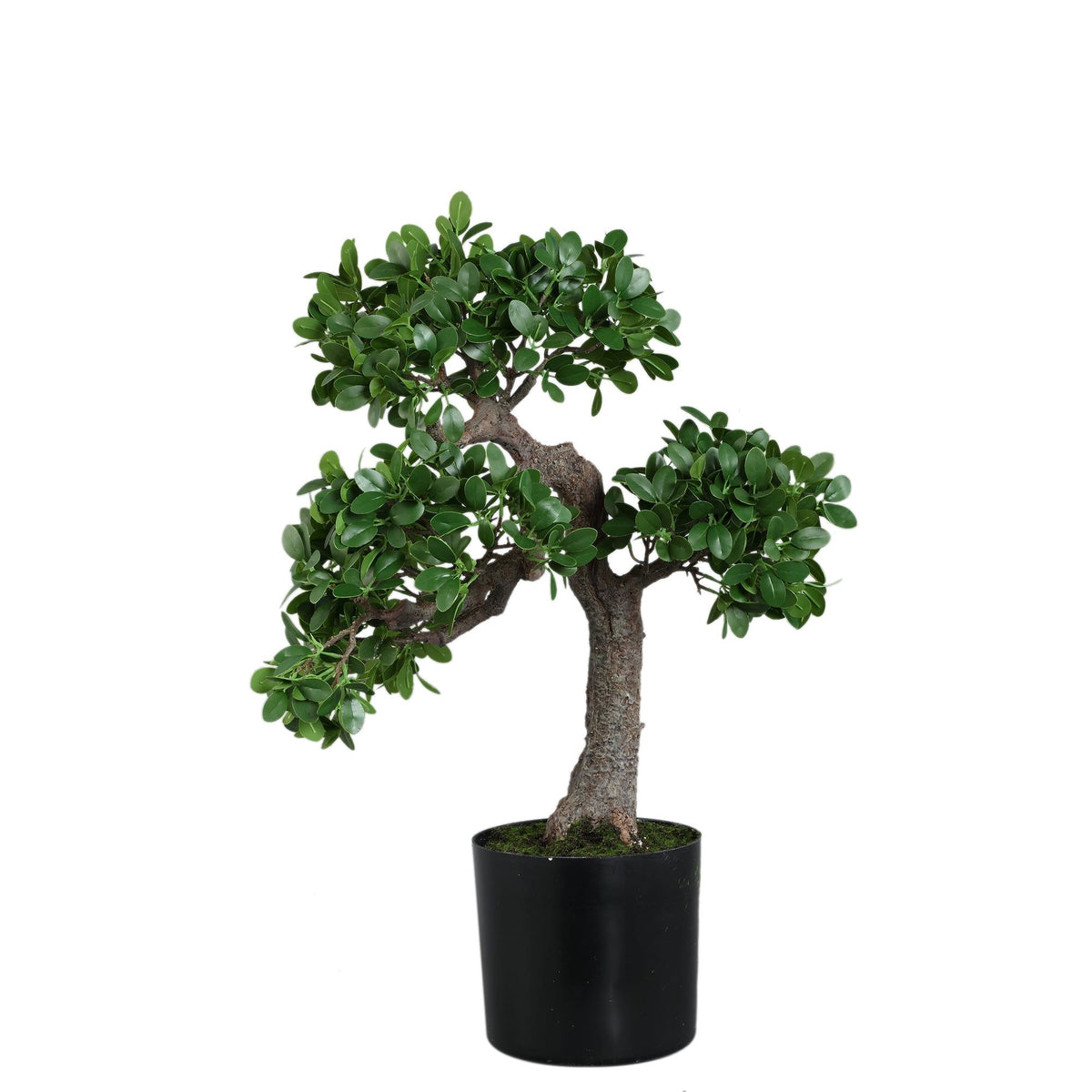 Tree Green Banyan Tree In Black Pot van PTMD, kunstbanyanboom van 80cm in zwarte pot