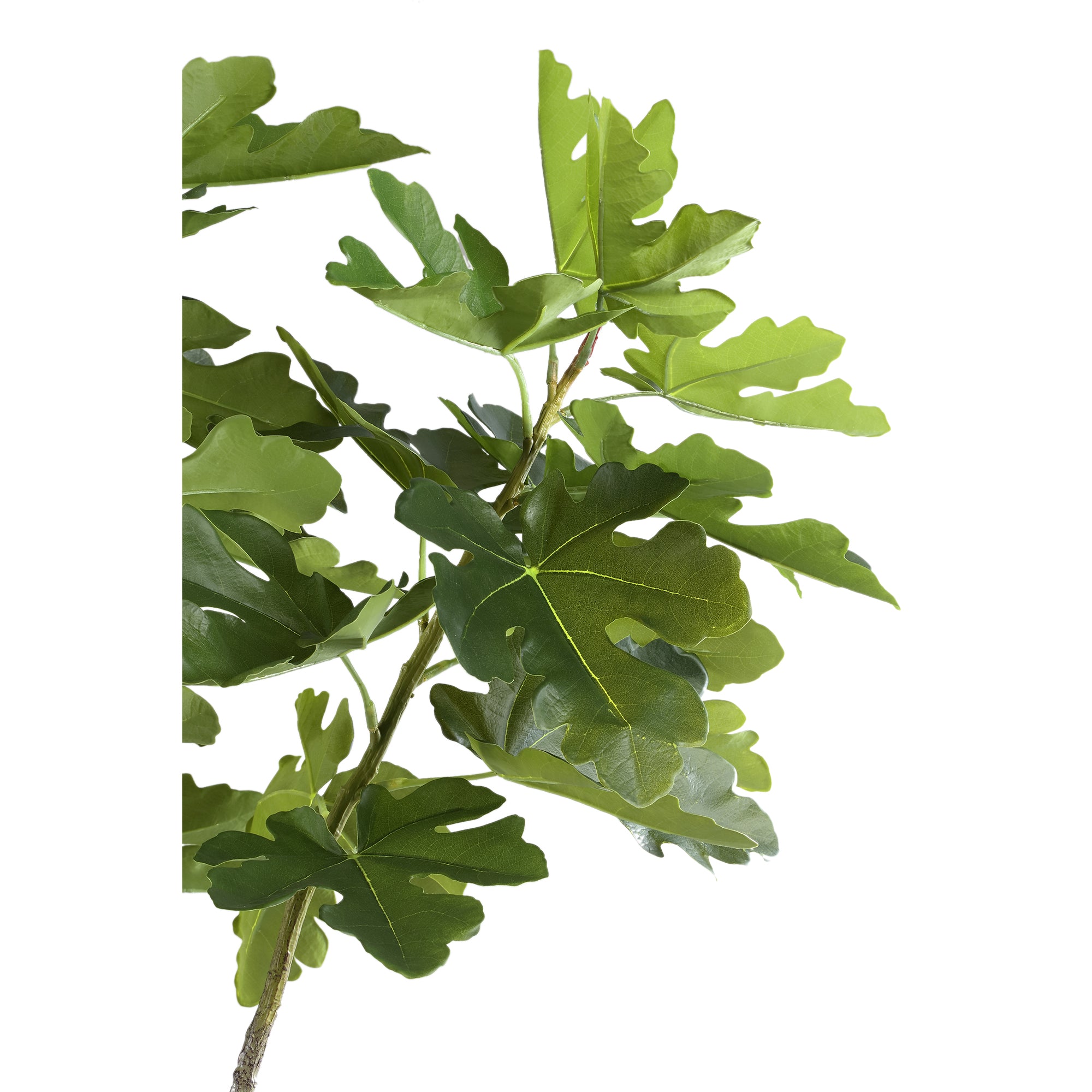 Tree Green Fig Tree In Pot L 118x110x152,5cm PTMD - Kunstplant - PTMD - livinglovely.nl