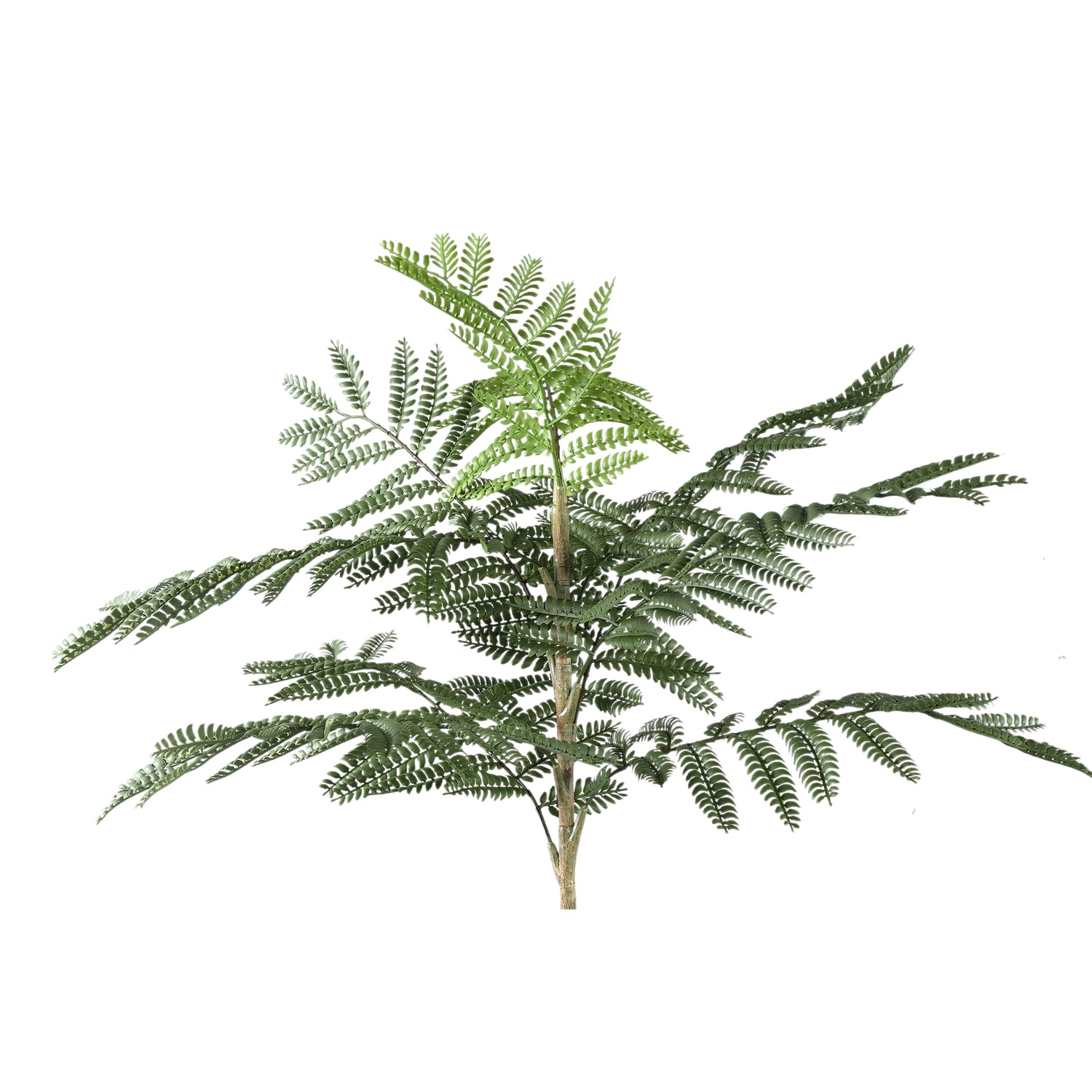 Tree Green Jacaranda Tree In Pot 43x45x99cm PTMD - Kunstplant - PTMD - livinglovely.nl