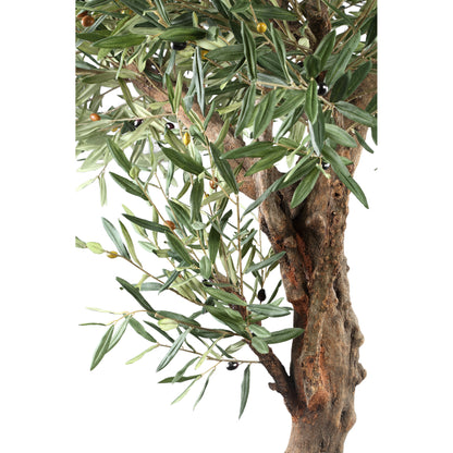 Tree Green Olive Tree In Pot 120x120x210cm PTMD - Kunstplant - PTMD - livinglovely.nl