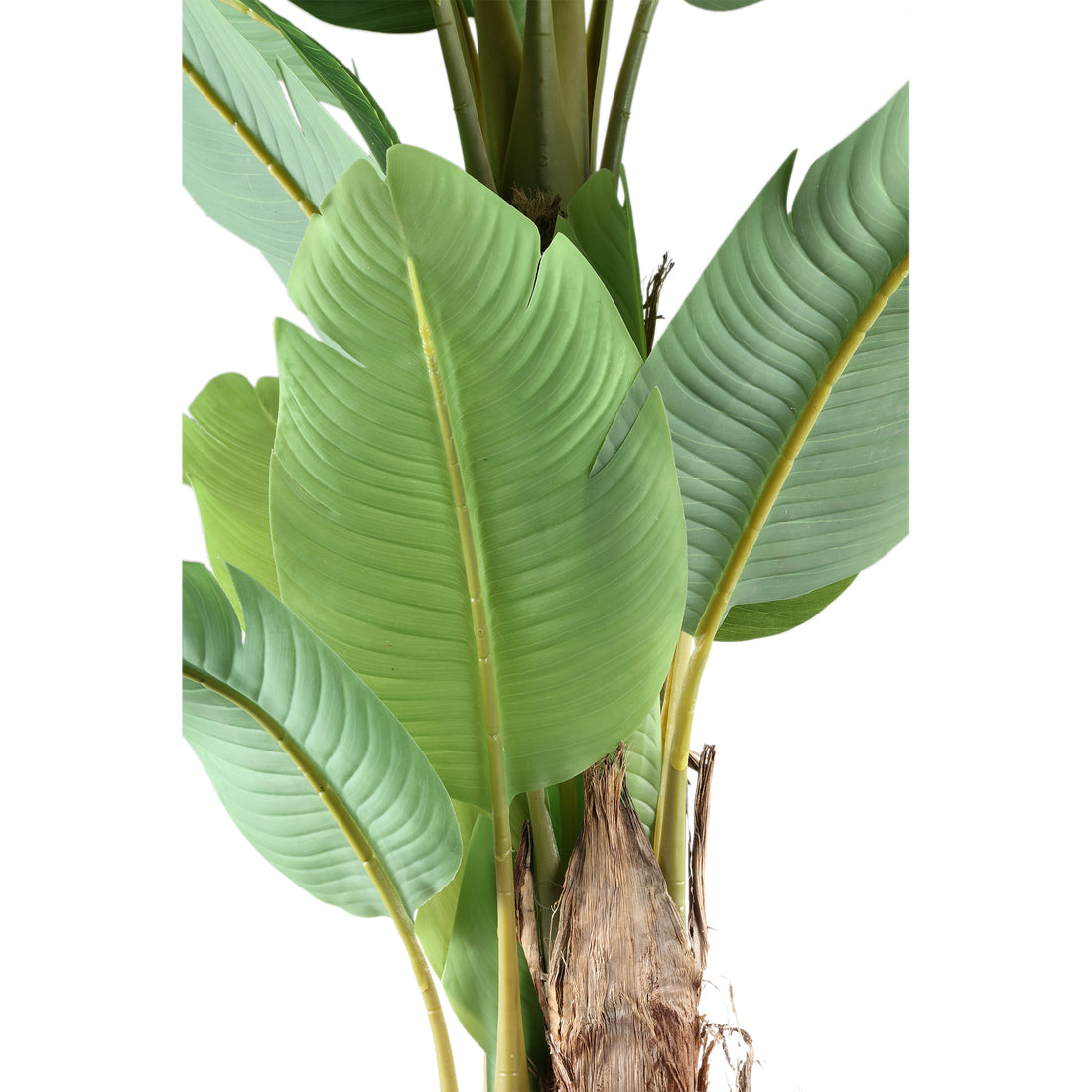 Tree Green PE Real Touch Banana Tree M 133x149x208cm PTMD - Kunstplant - PTMD - livinglovely.nl