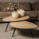 Veria Salontafel Beige Marmer set of 2 PTMD - Salontafel - PTMD - livinglovely.nl