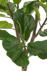 Vioolbladplant Plastiek Groen - Kunstplant - J-Line - livinglovely.nl