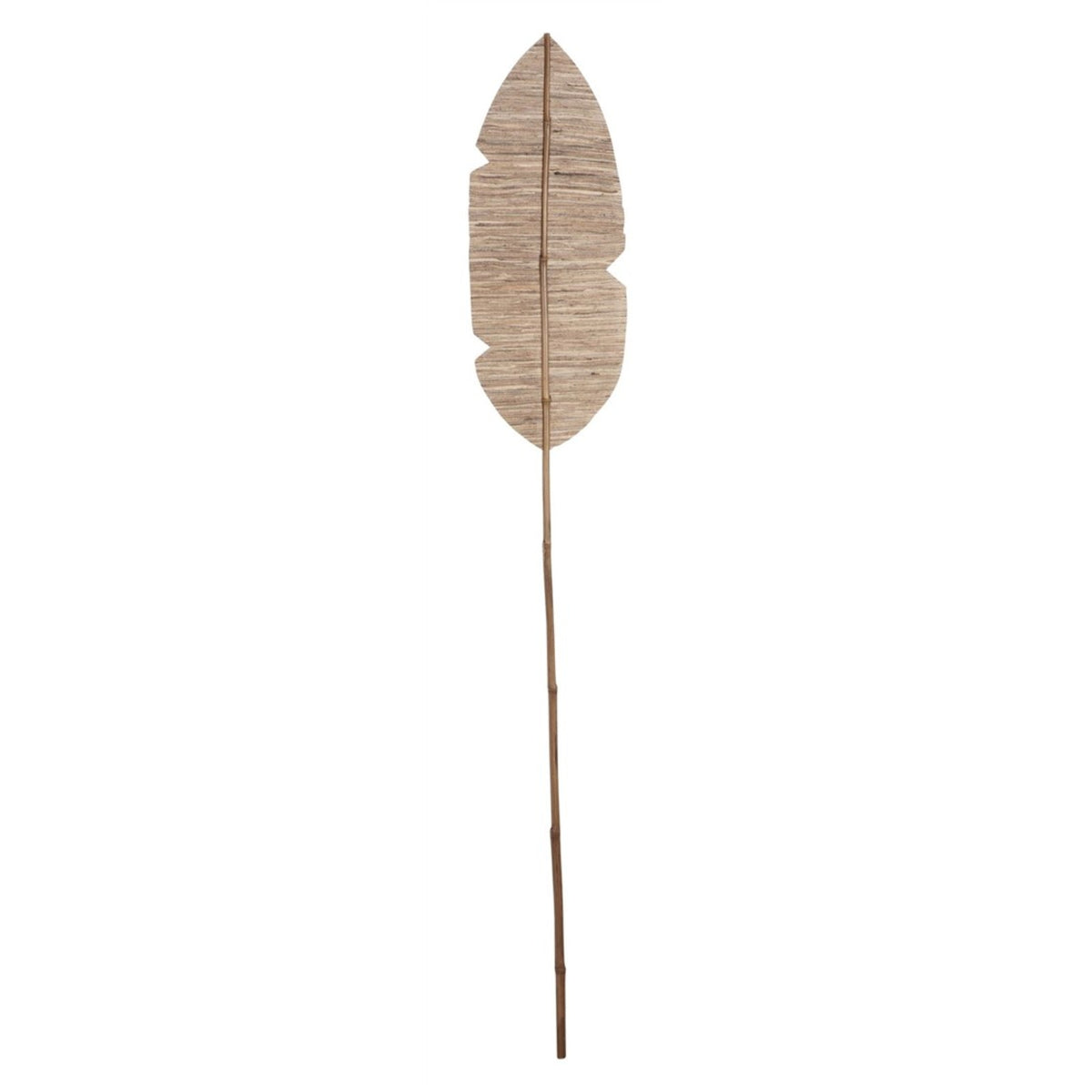 Wandblad Banaan Small van MUST Living, slank paneel van gedroogd bananenblad in naturel